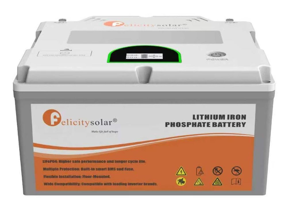 Felicity Solar 24V 100Ah 2.56kWh Lithium Battery (FLA24100PG2)